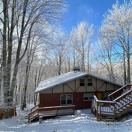 Cozy Cabin With Boosted Wi-Fi Бийч Маунтин Екстериор снимка